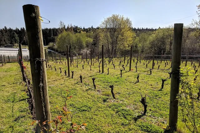 Bainbridge Island Wine and History Tour - Image 5