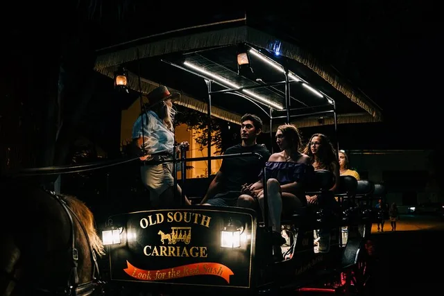 Charleston Haunted Carriage Tour - Image 5