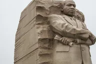 Washington DC Monuments & History Cherry Blossom Tour 2 hr thumbnail 3