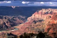 Grand Canyon Wildlife Safari with Skip-the-Line thumbnail 4