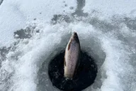 Fairbanks Ice Fishing Experience thumbnail 3