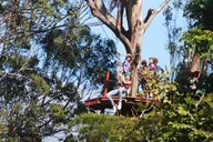 Maui Zipline Tour for Pride Of America Passengers thumbnail 1