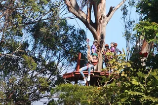 Maui Zipline Tour for Pride Of America Passengers