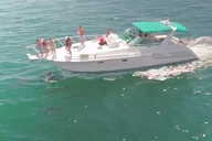 Los Angeles Yacht Private Trip 1 hr thumbnail 3