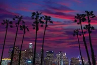 Los Angeles Night Tour with Griffith Observatory thumbnail 6