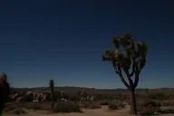 Los Angeles Joshua Tree National Park Adventure thumbnail 1