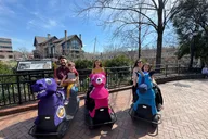 Greenville Rydable Tour Experience 90 min thumbnail 5