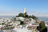 San Francisco Coit Tower Self-Guided Hike 2 hr thumbnail 2