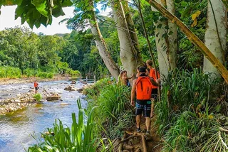 Kauai Kayak & Hike Adventure on the Wailua River