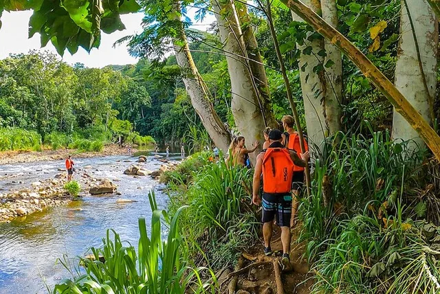 Kauai Kayak & Hike Adventure on the Wailua River - Image 1