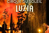 Oaks Cirque du Soleil LUZIA Entry Ticket thumbnail 1