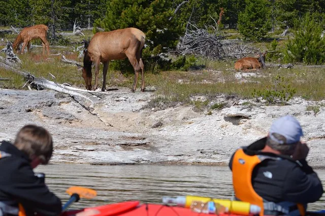 Yellowstone Kayak Tour Past Geothermal Features 4 hr - Image 1