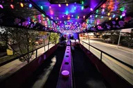 Nashville Party Bus with Bartender and DJ 2 hr thumbnail 1