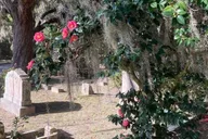 Savannah Bonaventure Cemetery Golf Cart Tour thumbnail 5