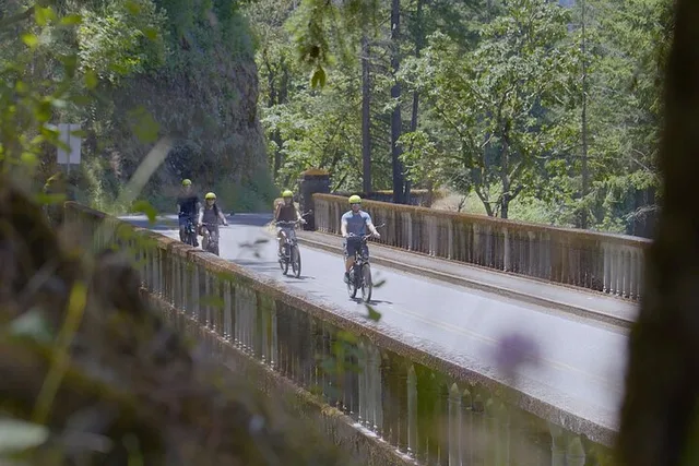 Portland Ebiking Tour to Columbia River Gorge Waterfalls - Image 3