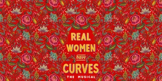 New York City Broadway Musical Experience