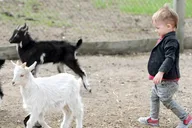Bainbridge Island Educational Farm Tour thumbnail 3