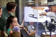 Los Angeles La Brea Tar Pits Museum Ticket thumbnail 3