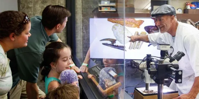 Los Angeles La Brea Tar Pits Museum Ticket - Image 3