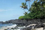 Oahu Circle Tour Waimea Waterfall 6.5 hr thumbnail 3