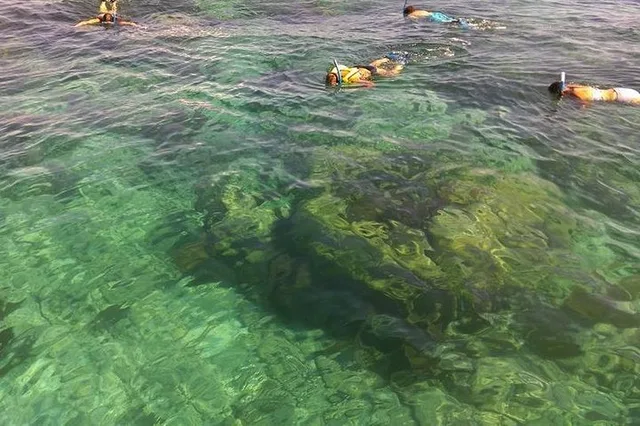 Key Largo Snorkeling Tour to John Pennekamp Coral Reef - Image 5