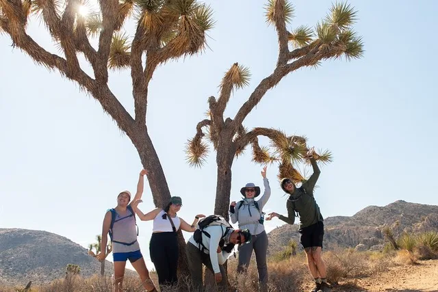 Joshua Tree Private Tour and Hike - Image 5
