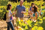 San Francisco Wine Country Tour with Tastings thumbnail 1