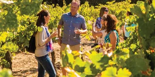 San Francisco Wine Country Tour with Tastings