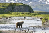 Hoonah Bear Island Shore Excursion thumbnail 4