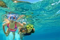 Destin Snorkeling and Dolphin Cruise 2.5 hr thumbnail 1