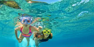 Destin Snorkeling and Dolphin Cruise 2.5 hr