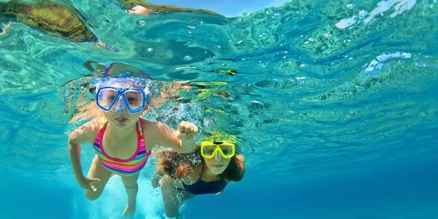 Destin Snorkeling and Dolphin Cruise 2.5 hr - Image 1