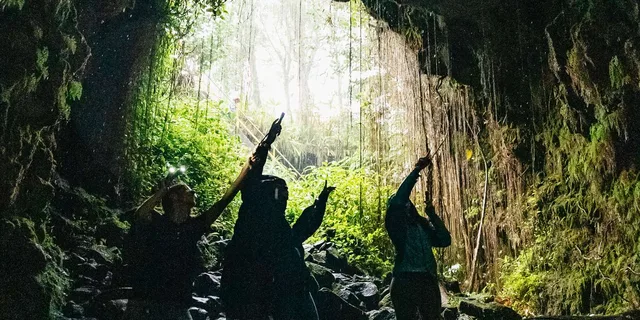 Hilo Mauna Kea Stargazing Tour 7 hr - Image 4
