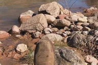 Grand Canyon Tour to the Bottom on Route 66 thumbnail 3