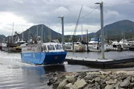 Ketchikan Duck Tour 90 Min thumbnail 5