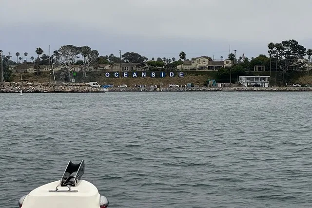 Oceanside Whale Watching Tour 150 Min - Image 5