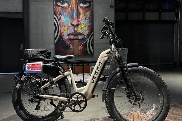 San Francisco Electric Bike Tour - Image 5