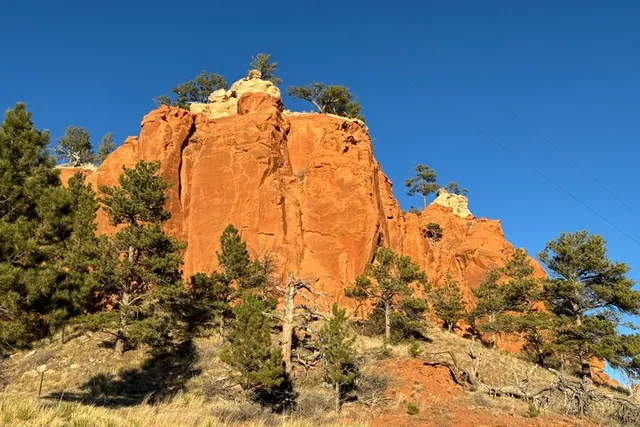 Southern Black Hills Wind Cave and Wildlife Tour - Image 2