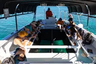 Waikoloa Glass-Bottom Boat Cruise thumbnail 3