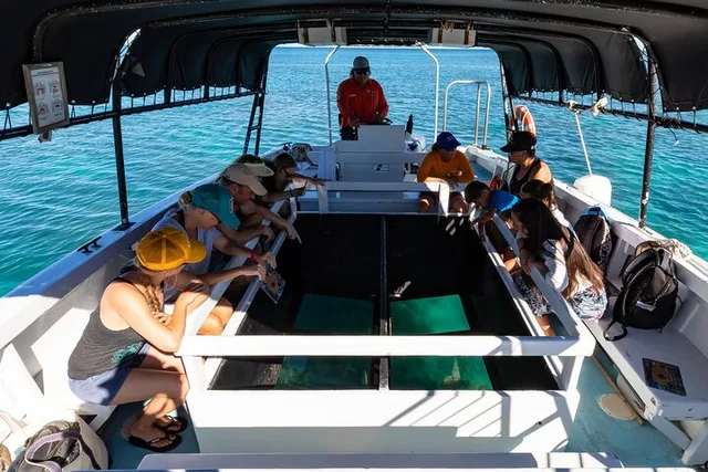 Waikoloa Glass-Bottom Boat Cruise - Image 3
