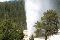 Yellowstone National Park Tour with Lunch 10 hr thumbnail 6