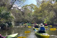 Cocoa Beach Manatee and Dolphin Kayak Tour 2 hr thumbnail 1