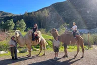 Los Angeles Camel Trek and Ranch Experience thumbnail 3