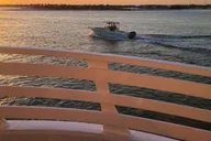Orange Beach Dolphin Cruise thumbnail 3