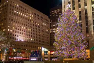 New York City Elf Movie Sites Tour thumbnail 4