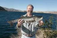 Lake Mead Striped Bass Fishing thumbnail 5