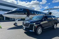 Honolulu Private Transfer: Airport, Ko Olina, Cruise Port thumbnail 2