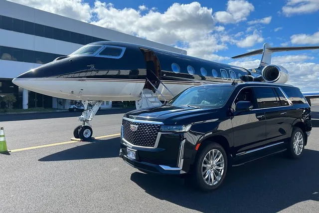 Honolulu Private Transfer: Airport, Ko Olina, Cruise Port - Image 2