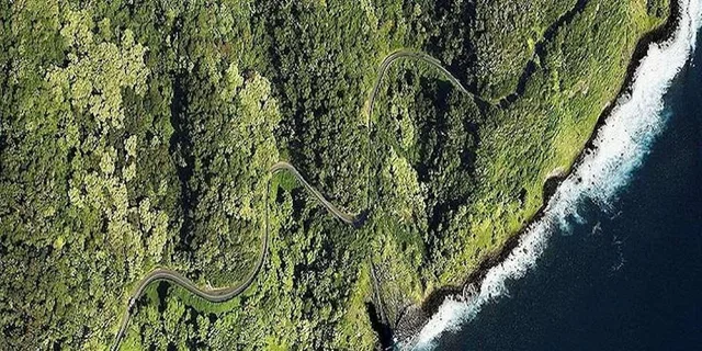 Maui Road to Hana Rainforest and Waterfall Tour - Image 2