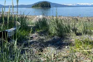 Juneau Segway Rainforest Tour thumbnail 6
